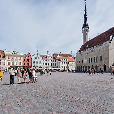 Hotel Harbor Black Pearl